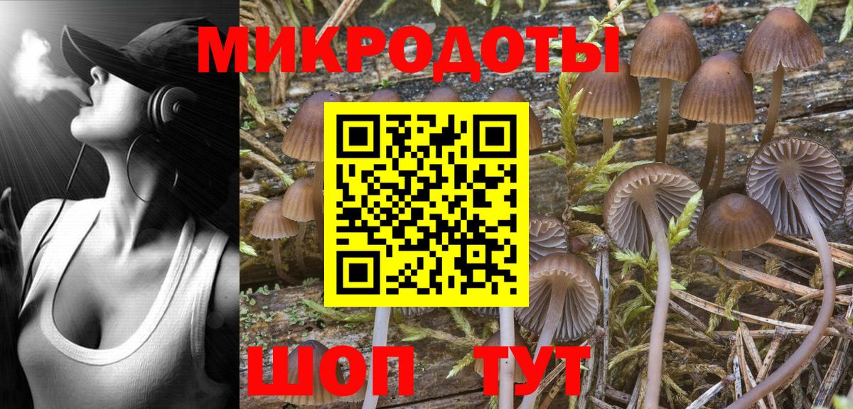 Псилоцибиновые грибы Psilocybe  Вход с VPN  хочу   Азнакаево  Галлюциногенные грибы Magic Shrooms 